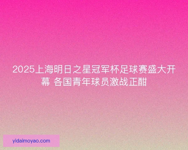 2025上海明日之星冠军杯足球赛盛大开幕 各国青年球员激战正酣